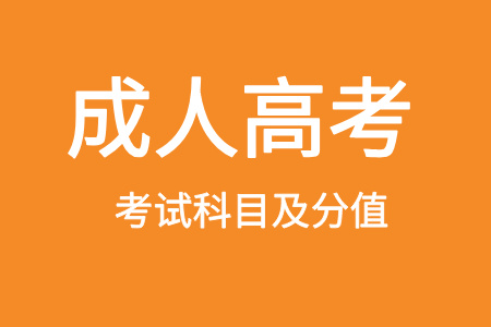 2026年成人高考考试科目